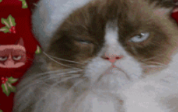 鑫耀與您走向2018年前的節日